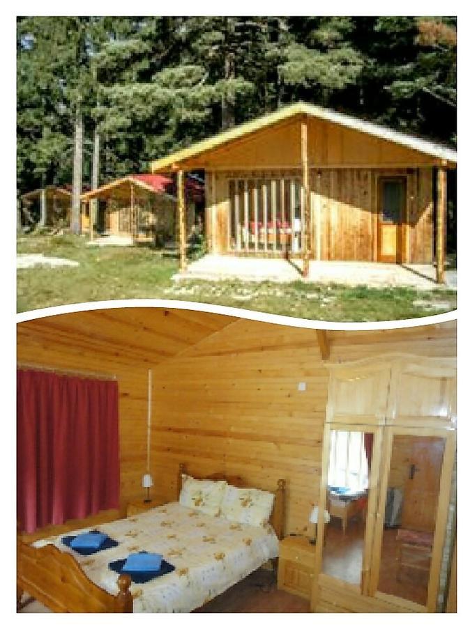Бунгала Ски Писта Говедарци Exterior foto